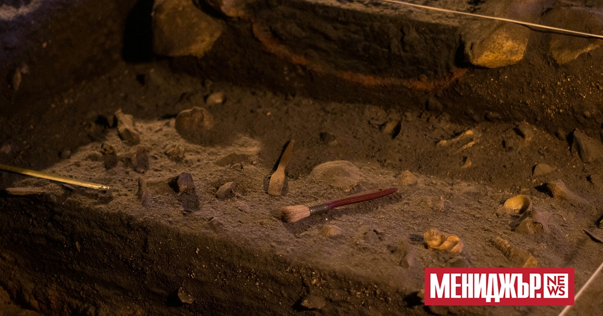 Фрагмент от кост, съдържащ ДНК на неандерталец на приблизително 45