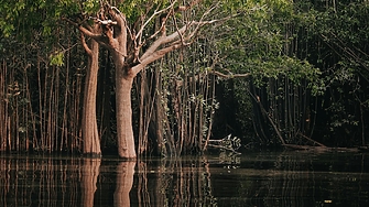 Дълбоко в Амазония учените са изградили машина на времето която изпомпва