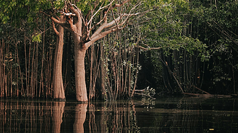 Популярни стилове на модерните бани