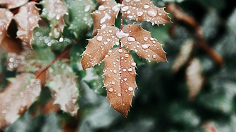 Времето в сряда: Облачно с валежи на места