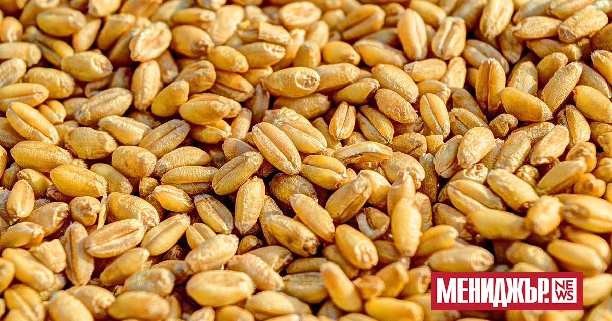 Цените на хранителните стоки в световен мащаб са спаднали за