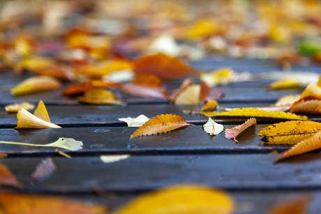 Времето в неделя: Облачно с валежи в Югозападна и Източна България 