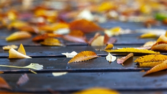 Времето в неделя: Облачно с валежи в Югозападна и Източна България 