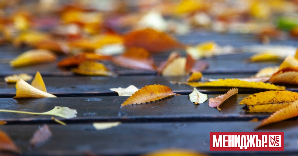 В неделя около обяд от юг отново ще завали, като