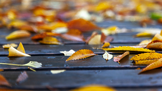 Времето в неделя: Облачно с валежи в Югозападна и Източна България 