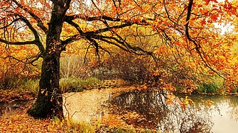 Времето: Ще има значителна висока облачност