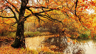 Времето: Ще има значителна висока облачност