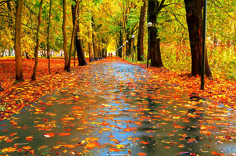 Времето: Облачно и дъждовно