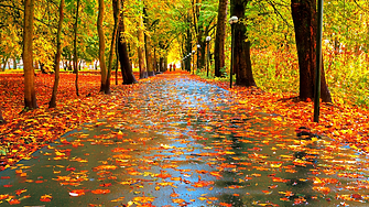 Времето: Облачно и дъждовно