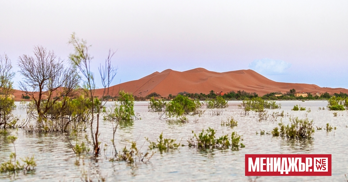 Пустинята Сахара е известна като едно от най-сухите места на