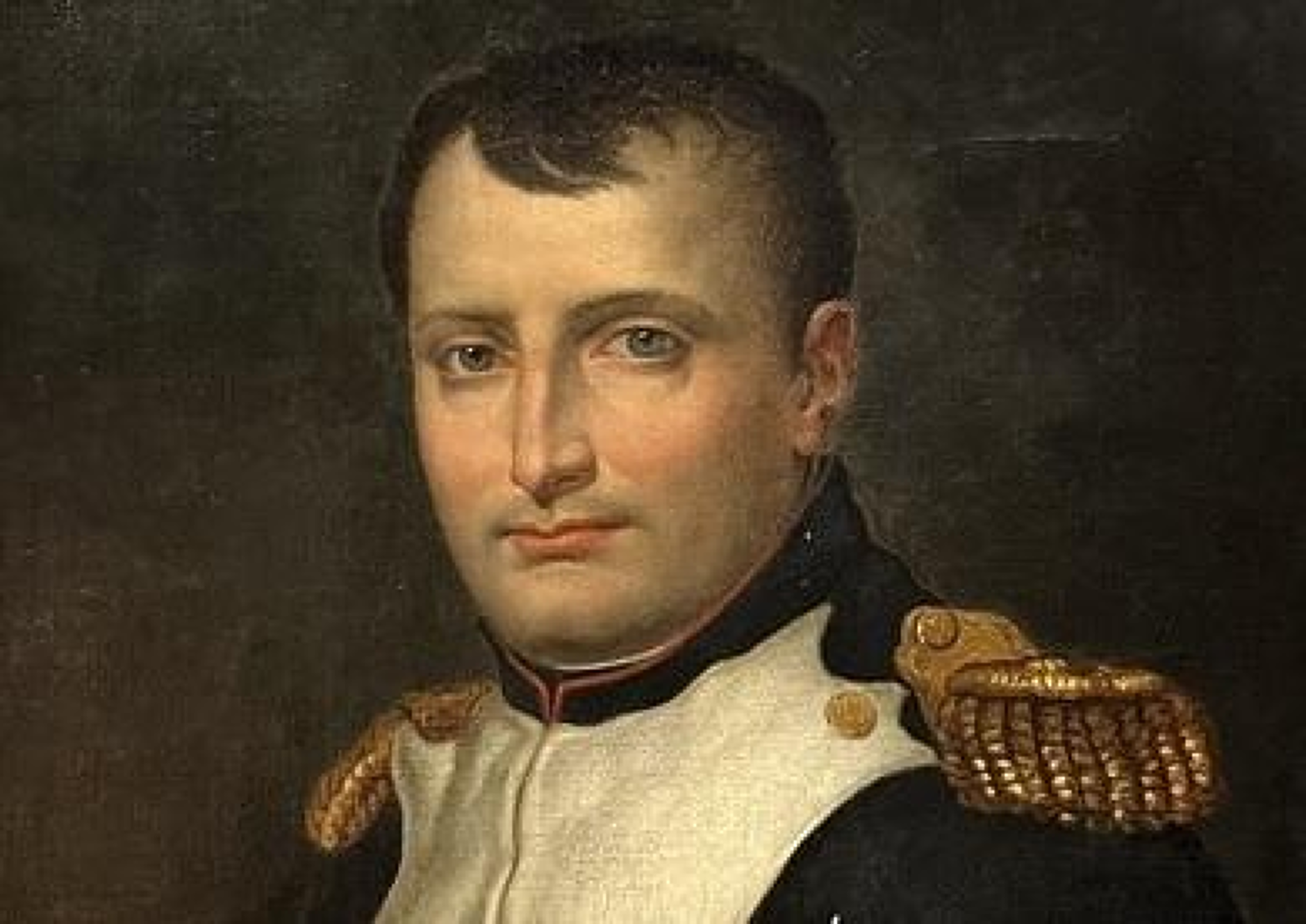 ДНК разкрива какво наистина е убило армията на Наполеон