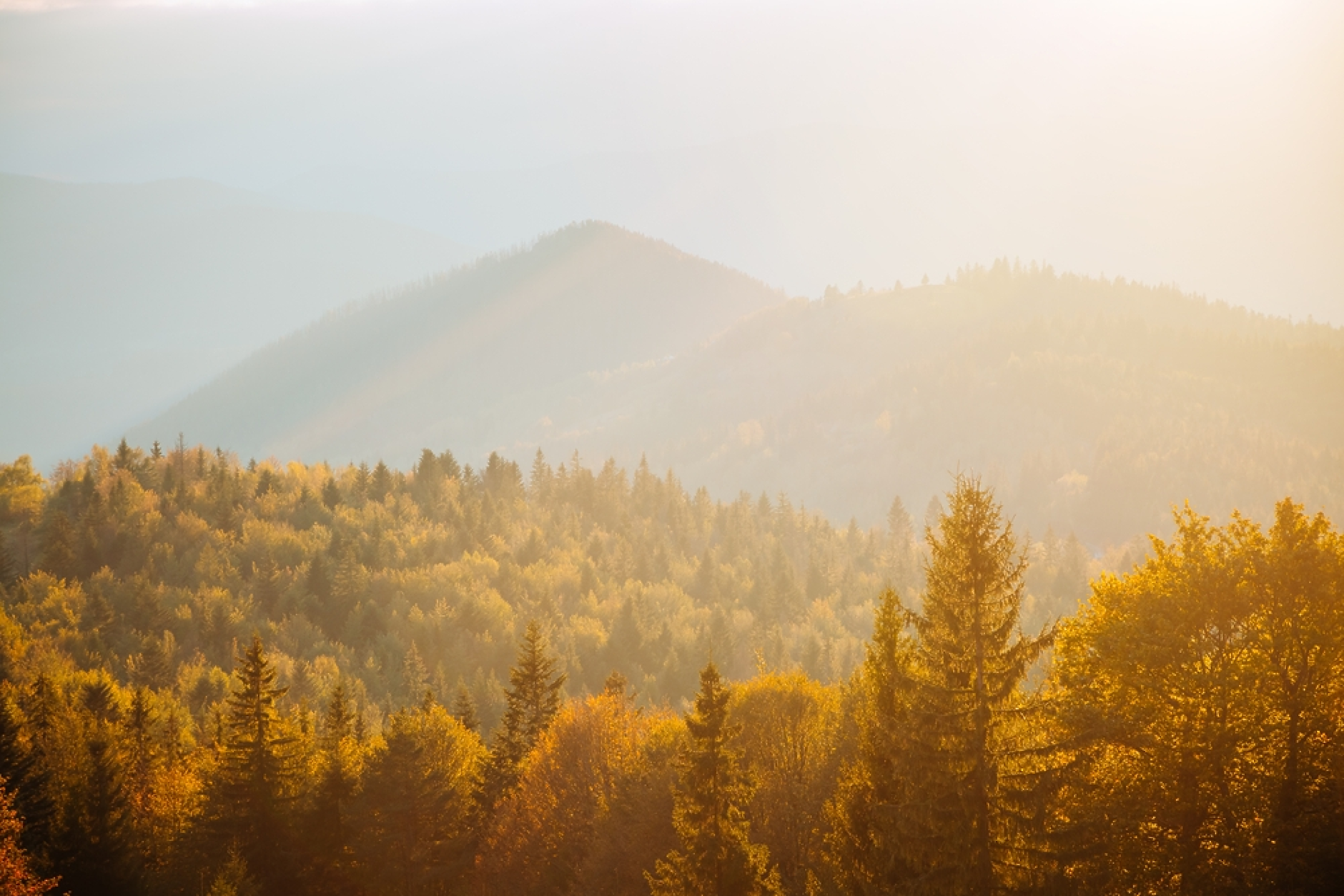 Времето в четвъртък: Слънчево, но със сутрешни мъгли