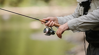 Сещате ли се за приказката Рибарят и Златната рибка Добре