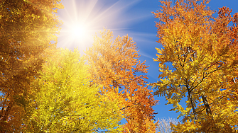 Времето: Слънчево, но със сутрешни мъгли