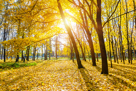 Времето: Слънчево с температури до 21 градуса
