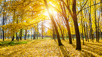 Времето: Слънчево с температури до 21 градуса