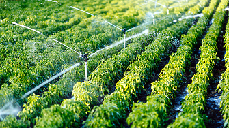 Всяка година 30 от ЕС страда от недостиг на вода