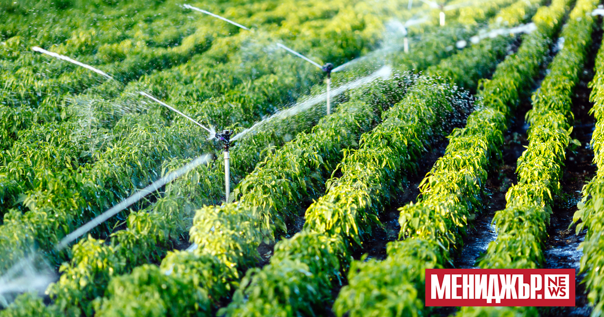 Всяка година 30% от ЕС страда от недостиг на вода,