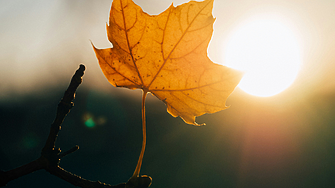 Новата седмица започва със слънце и по-високи температури