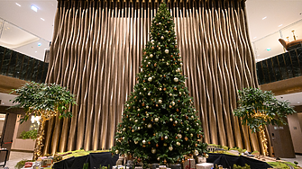 В сърцето на празниците