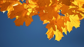 В събота на много места в равнините и котловините ще