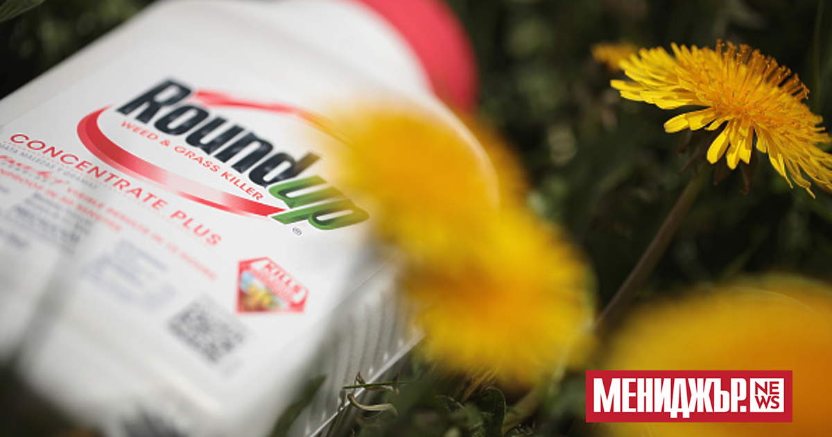 Акциите на германската компания Bayer се повишиха с 16%, след