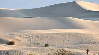 a text decoration none color 464feb tr th tr