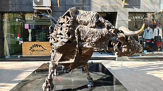 Основният индекс на Българската фондова борса SOFIX продължава възходящата си