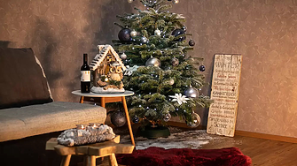 Защо да изберем естествена елха за тази Коледа?