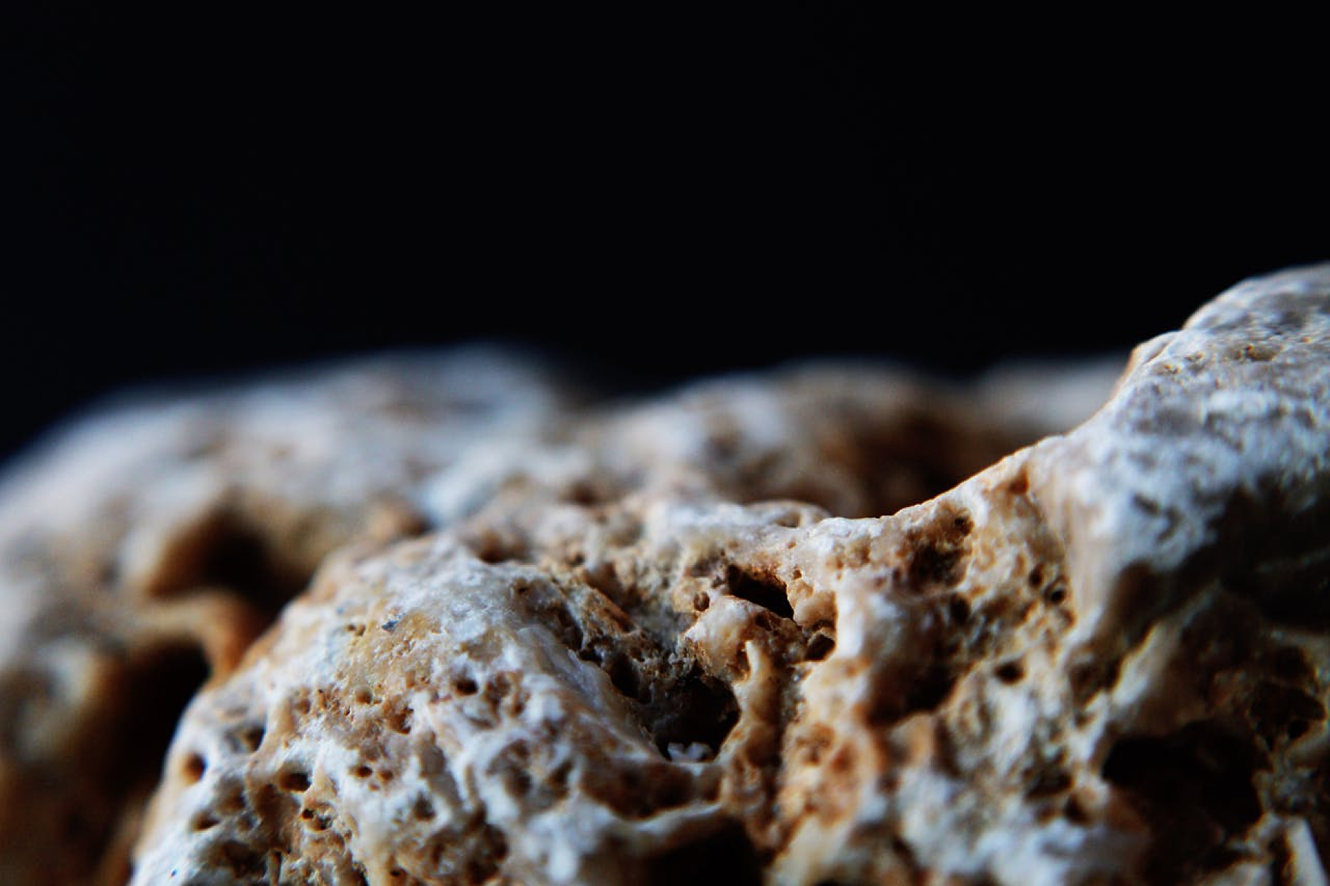 Нов метод открива следи от първичния живот на Земята в древни скали