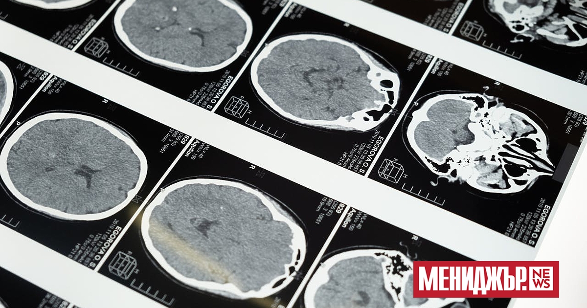 Учените са идентифицирали пет основни епохи“ в развитието на човешкия