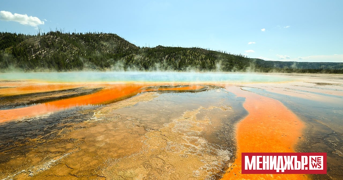 Ерик Бойд и неговият изследователски екип проучиха как серия от