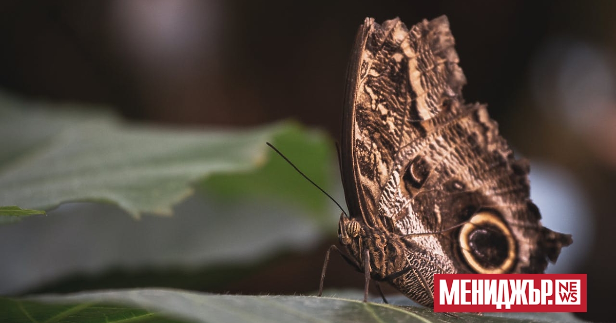 Преди малко повече от 500 милиона години животът на Земята