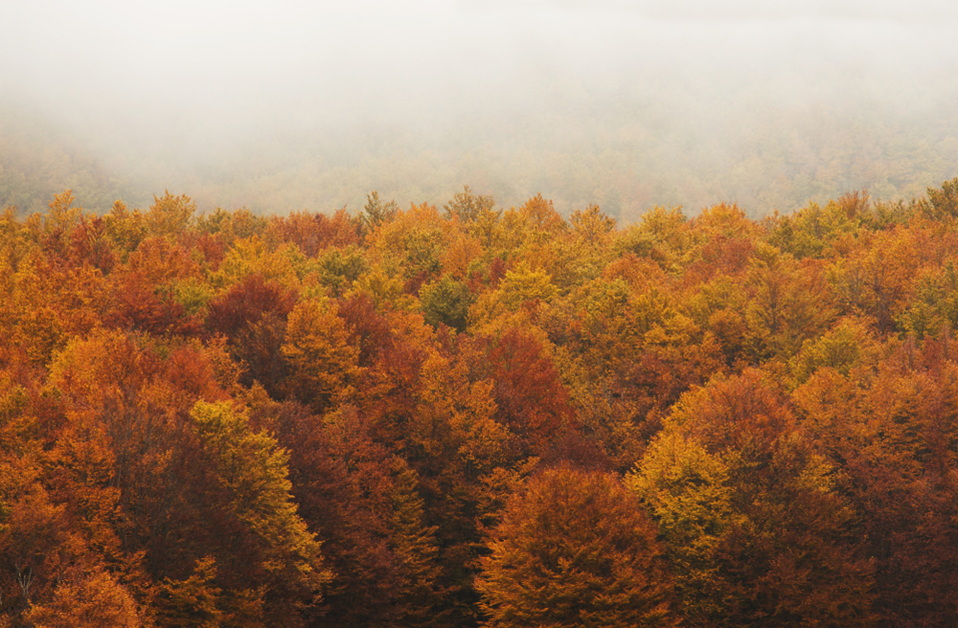 Облачно време ни очаква в четвъртък