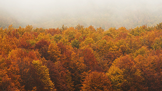 В четвъртък 4 декември над страната се очаква значителна облачност