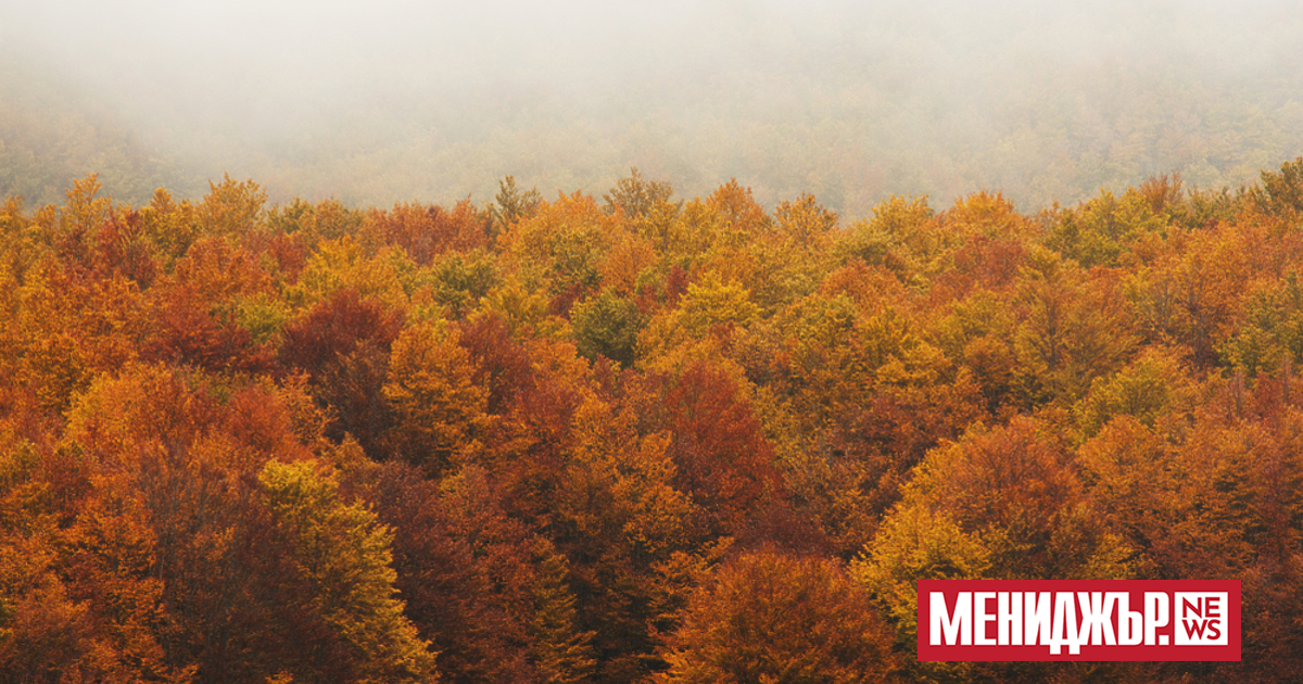 В четвъртък (4 декември) над страната се очаква значителна облачност.