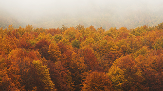 Облачно време ни очаква в четвъртък