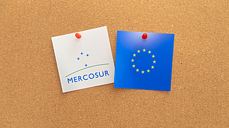 a text decoration none color 464feb tr th tr td