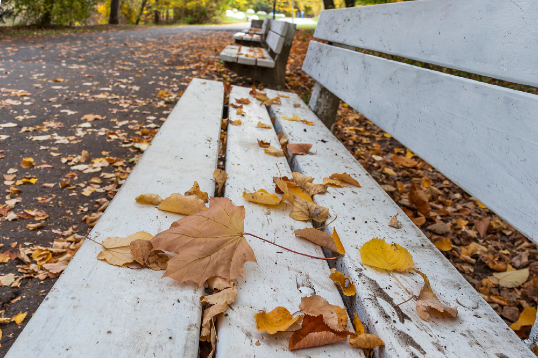 Времето във вторник: Сутринта - мъгли, следобед - слънце