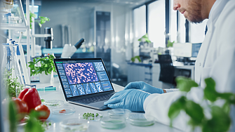 Учени: „Месо“ от лабораторно отгледана гъба може да се превърне в по-евтина алтернатива на пилешкото