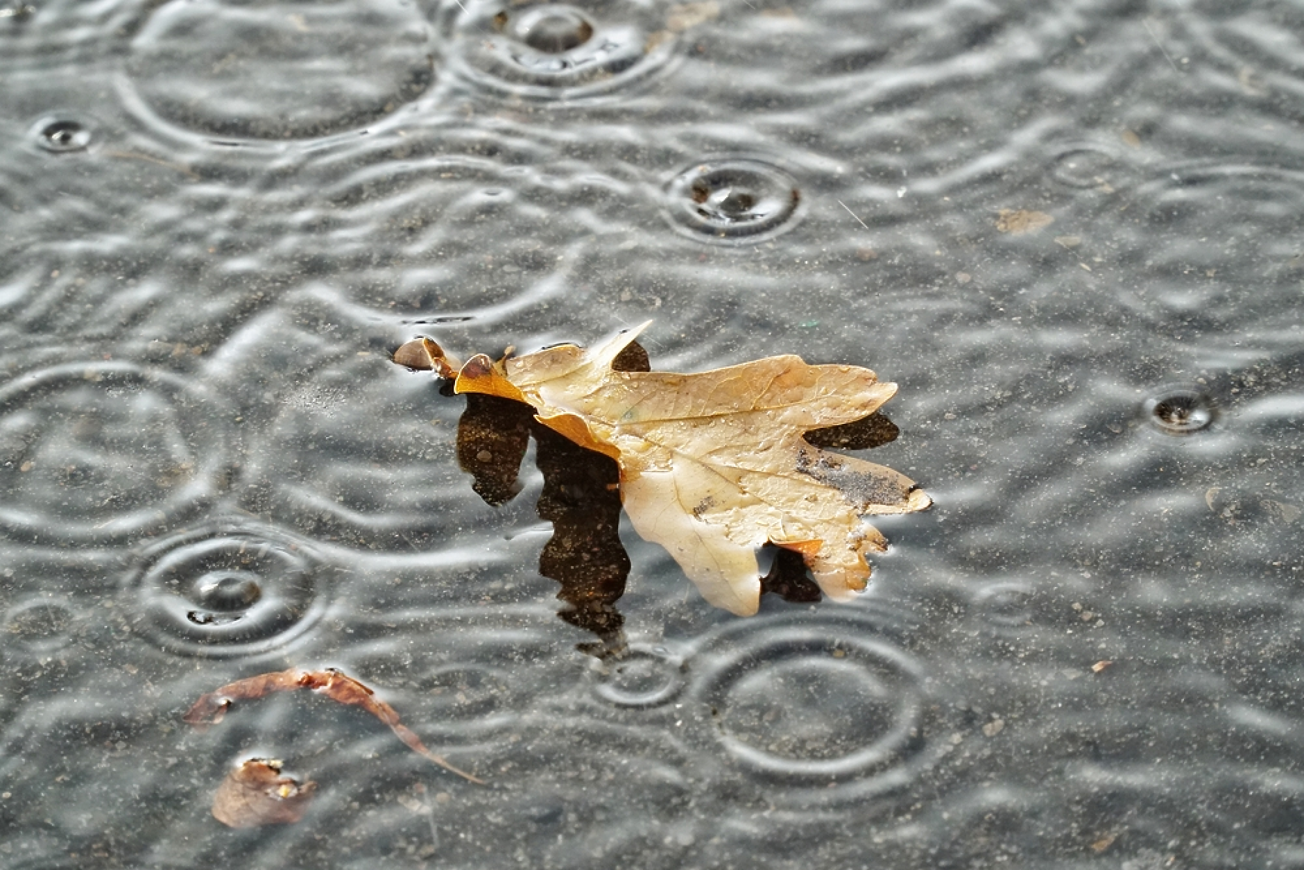 Времето в сряда: Застудяване и валежи