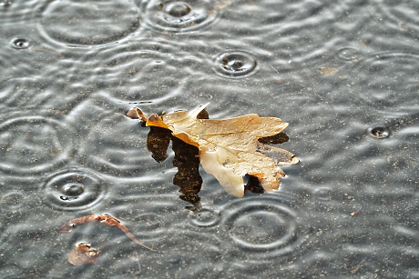 Времето в сряда: Застудяване и валежи