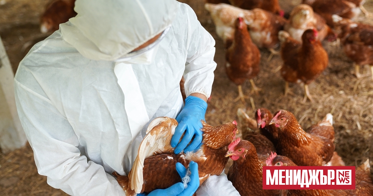 a { text-decoration: none; color: #464feb; } tr th, tr