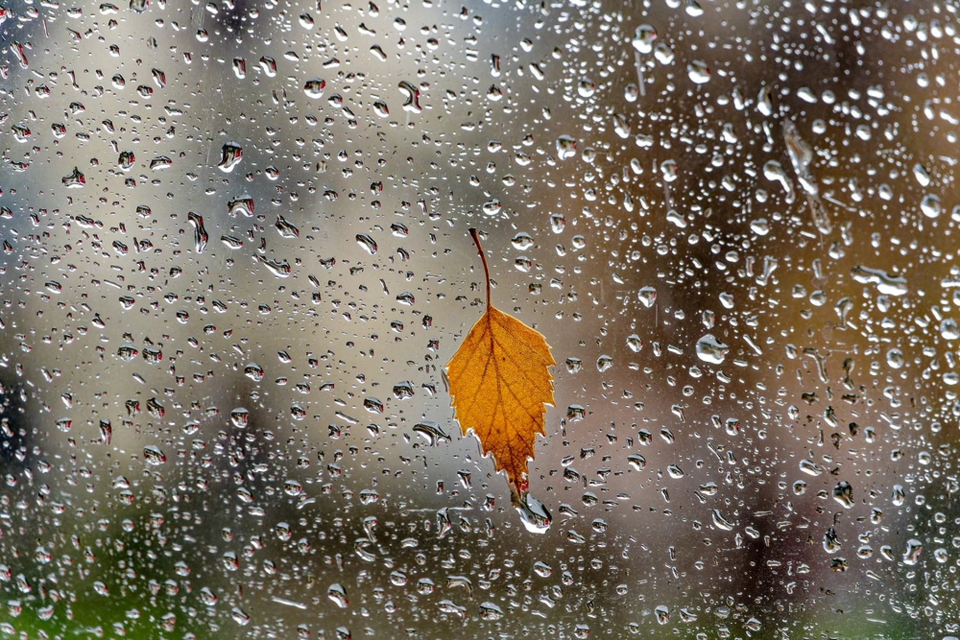 Времето в петък: На изток - вятър, на запад - дъжд