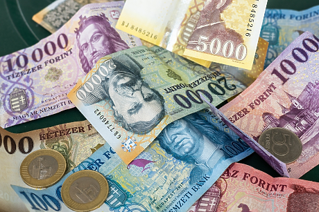 Валутите на страните от Централна Европа догодина ще отстъпят от достигнатите върхове