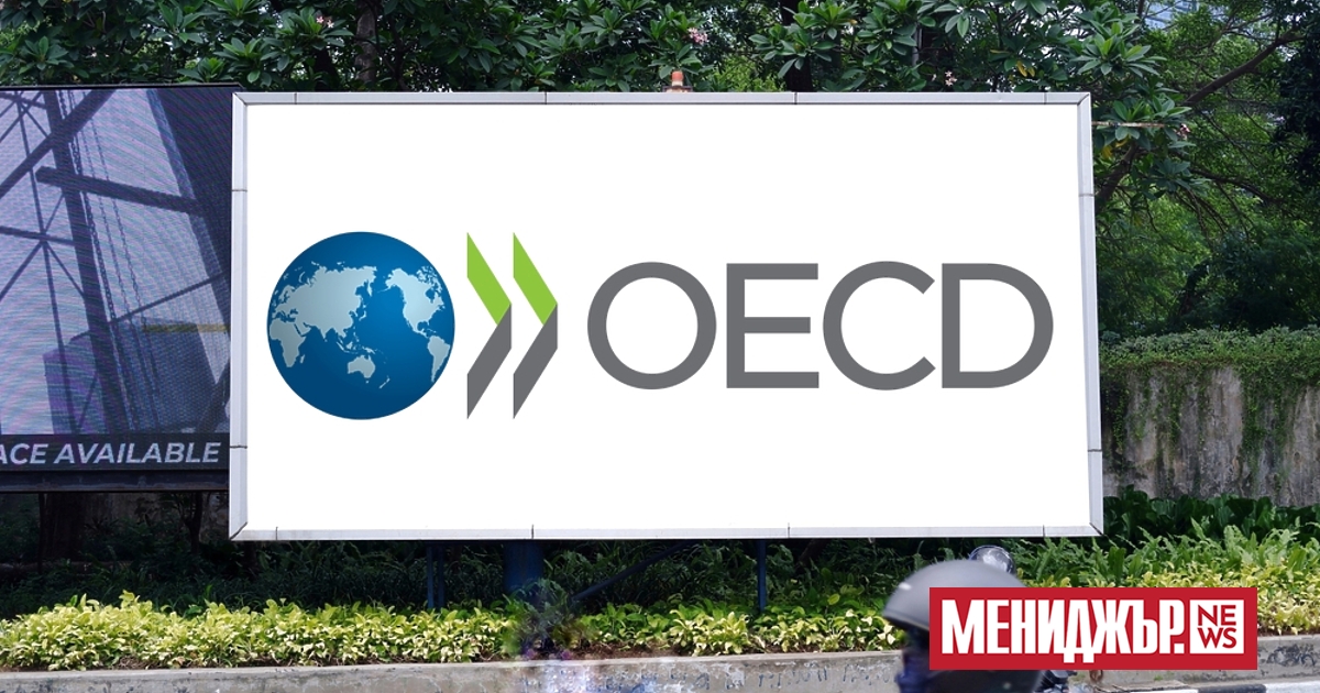 Световната икономика се справя с митата на Доналд Тръмп по-добре