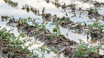 7 4 млн евро от Европейския фонд за гарантиране на земеделието