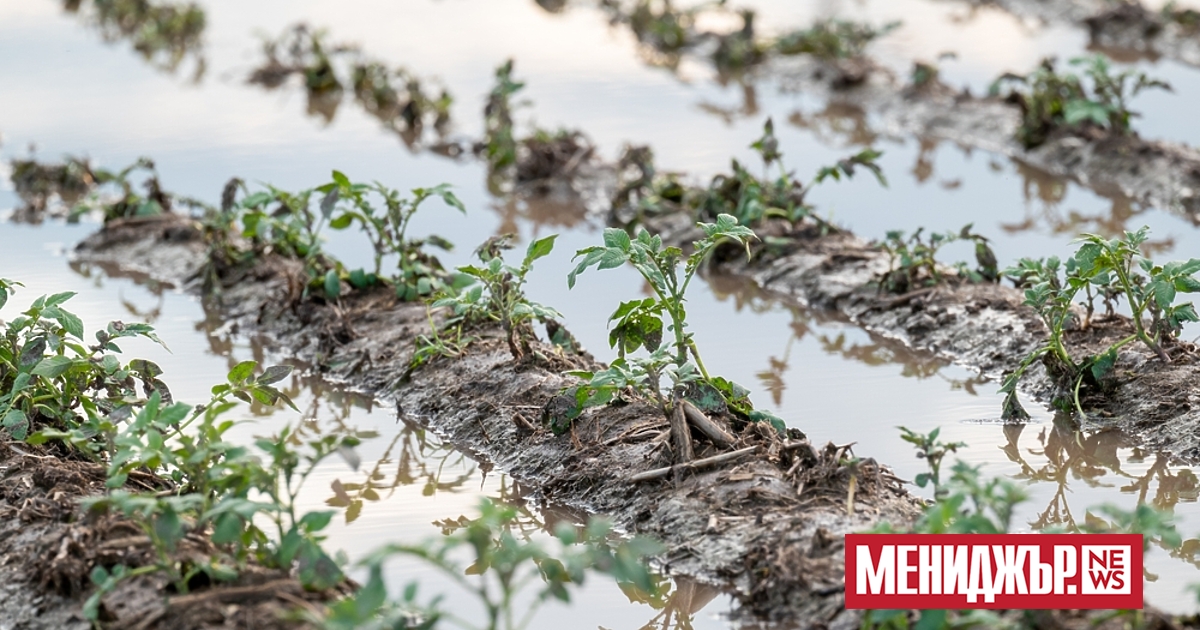 7,4 млн. евро от Европейския фонд за гарантиране на земеделието