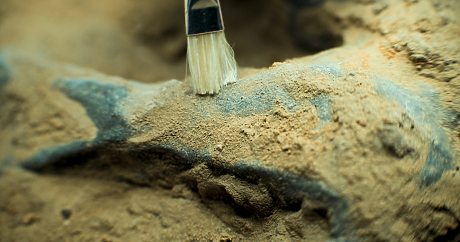 Археолози: Римската окупация е донесла нови болести в Британия