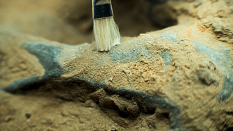 Археолози: Римската окупация е донесла нови болести в Британия